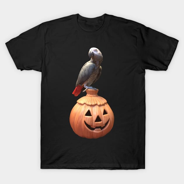 Jack-o-lantern Halloween African Grey Parrot T-Shirt by Einstein Parrot